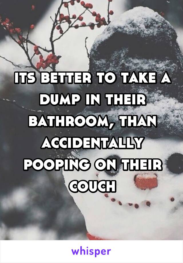 its better to take a dump in their bathroom, than accidentally pooping on their couch