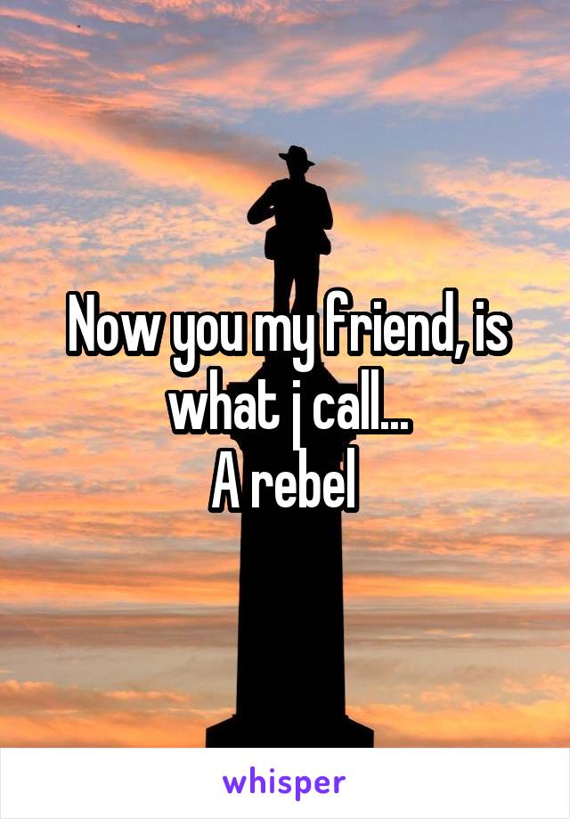 Now you my friend, is what j call...
A rebel 