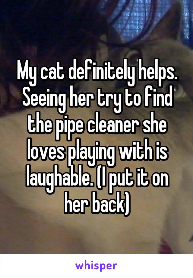 My cat definitely helps. Seeing her try to find the pipe cleaner she loves playing with is laughable. (I put it on her back)