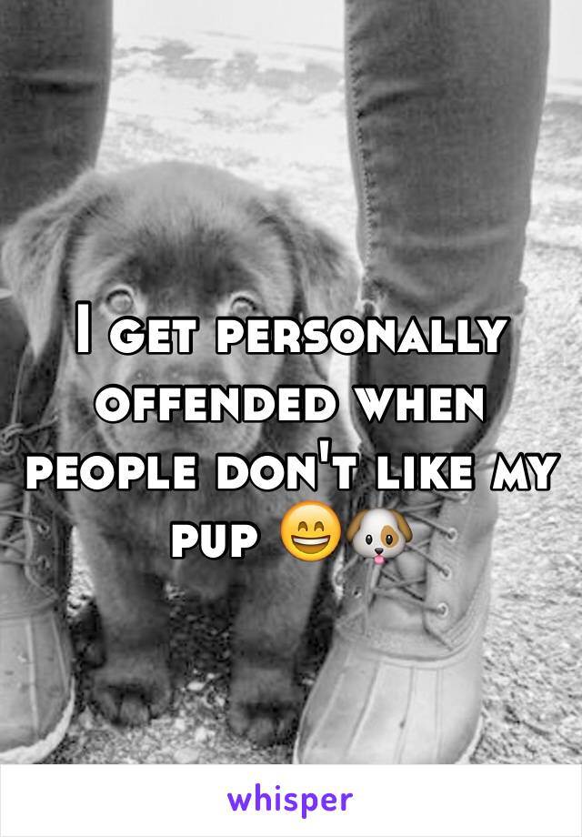 I get personally offended when people don't like my pup 😄🐶