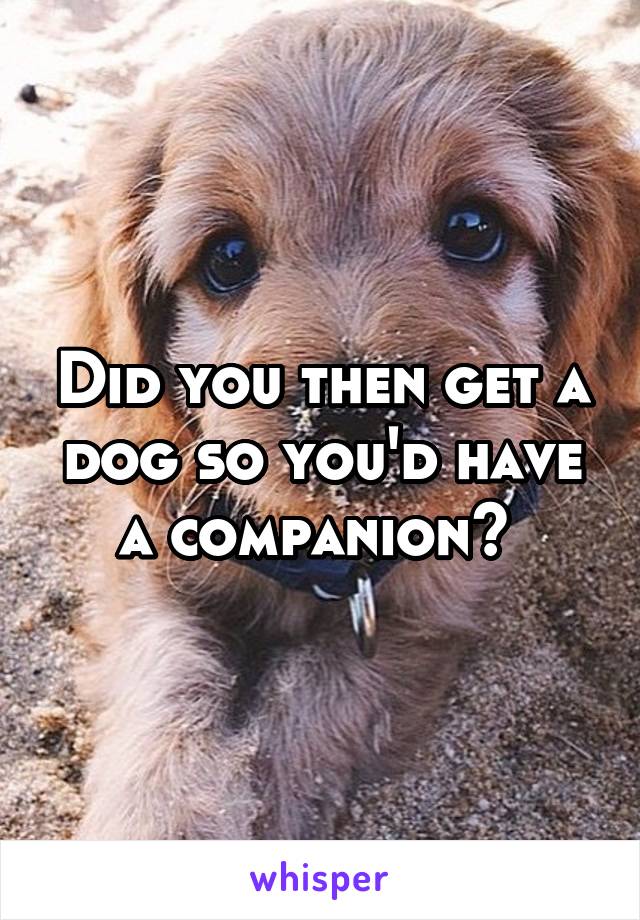 Did you then get a dog so you'd have a companion? 