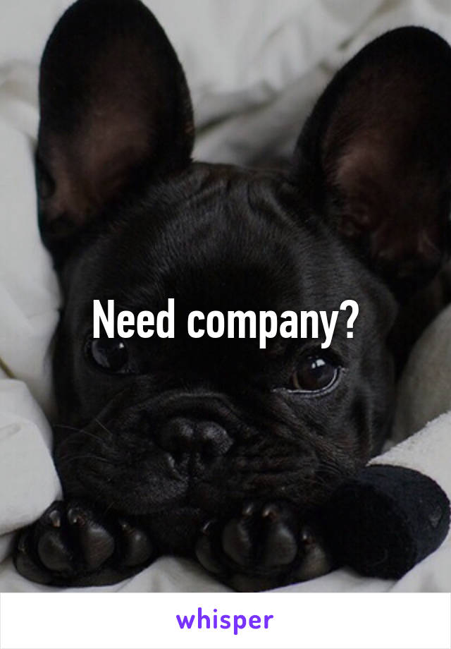 Need company?