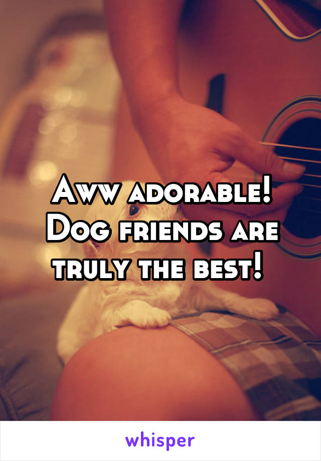 Aww adorable! Dog friends are truly the best! 