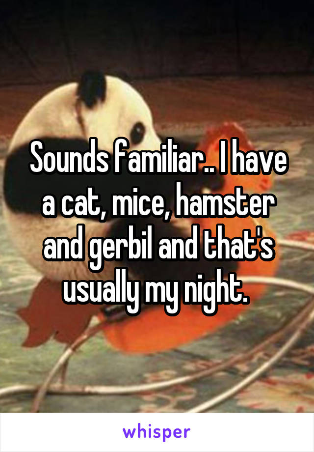 Sounds familiar.. I have a cat, mice, hamster and gerbil and that's usually my night. 