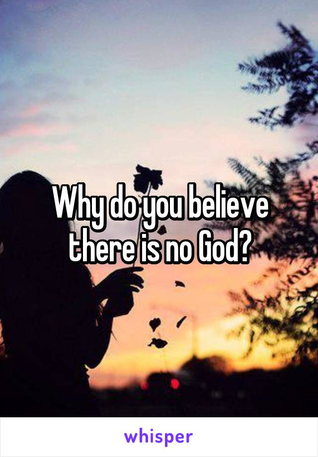 Why do you believe there is no God?