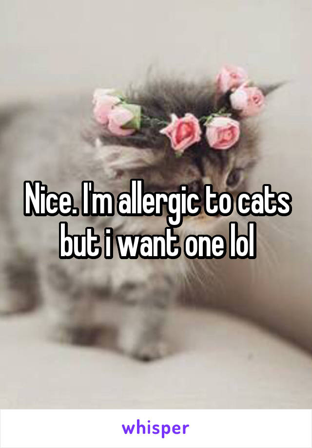 Nice. I'm allergic to cats but i want one lol