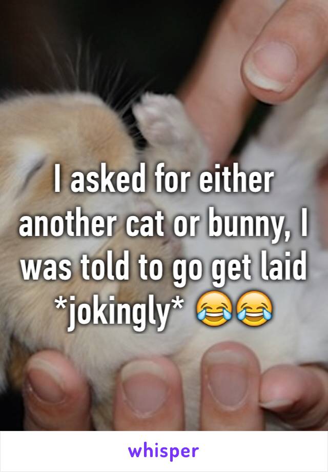 I asked for either another cat or bunny, I was told to go get laid *jokingly* 😂😂