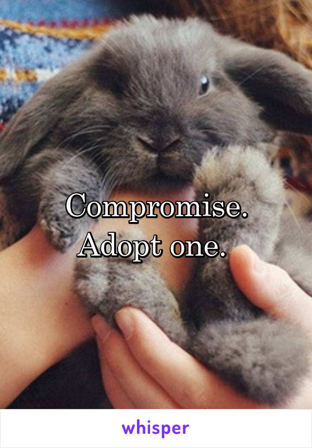 Compromise. Adopt one. 