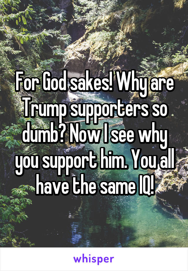 For God sakes! Why are Trump supporters so dumb? Now I see why you support him. You all have the same IQ!