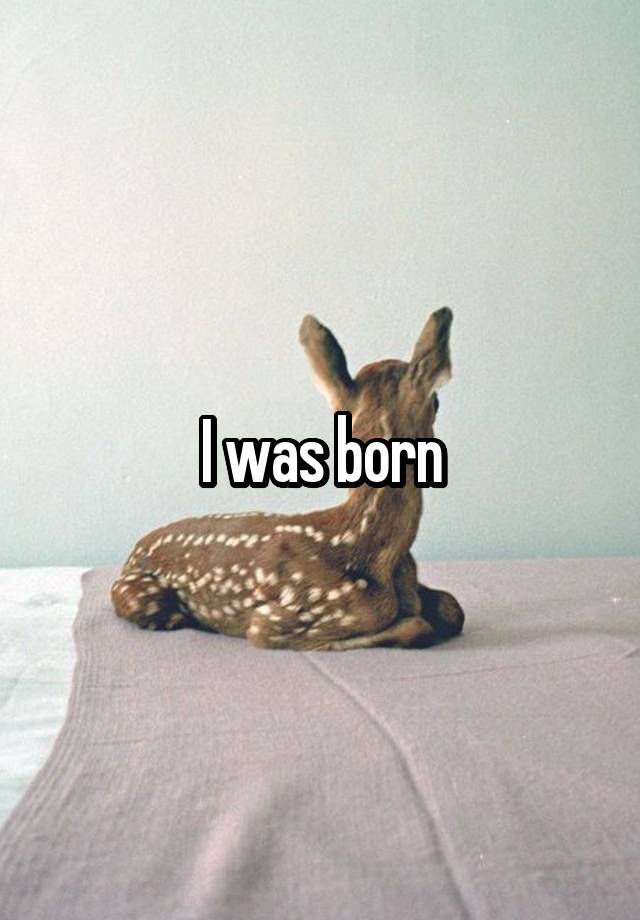 i-was-born