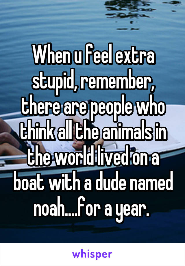 When u feel extra stupid, remember, there are people who think all the animals in the world lived on a boat with a dude named noah....for a year. 