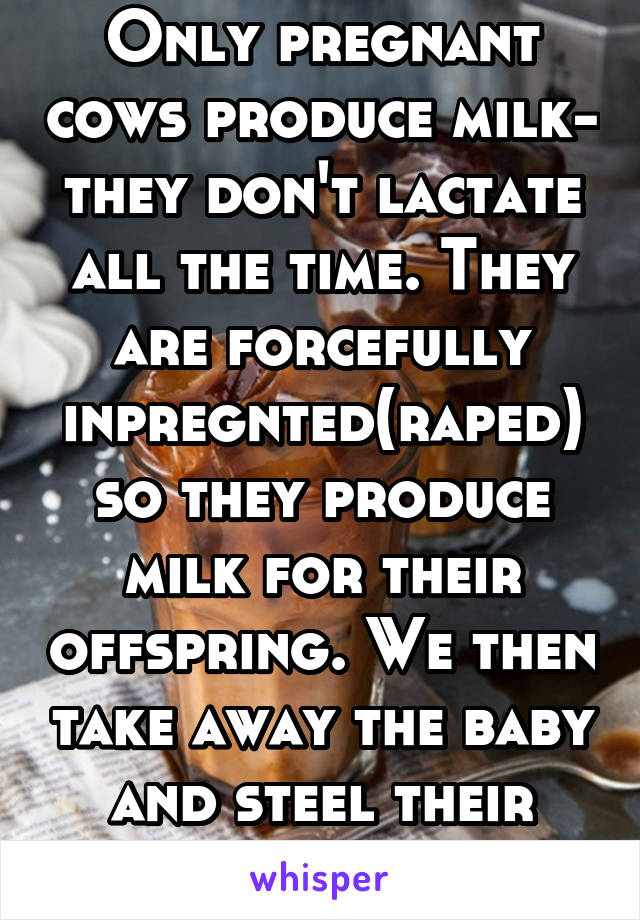 Only pregnant cows produce milk- they don't lactate all the time. They are forcefully inpregnted(raped) so they produce milk for their offspring. We then take away the baby and steel their milk for us