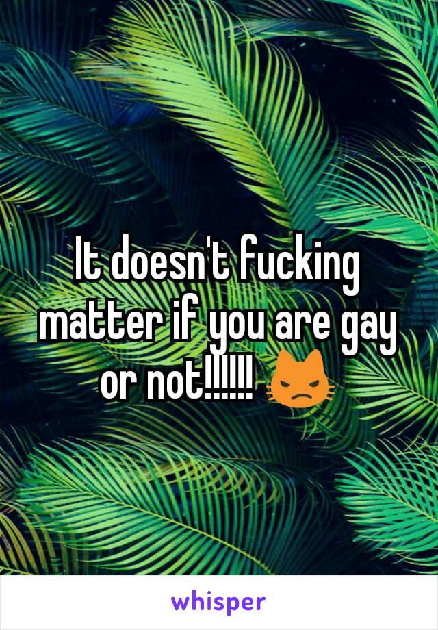 It doesn't fucking matter if you are gay or not!!!!!! 😾