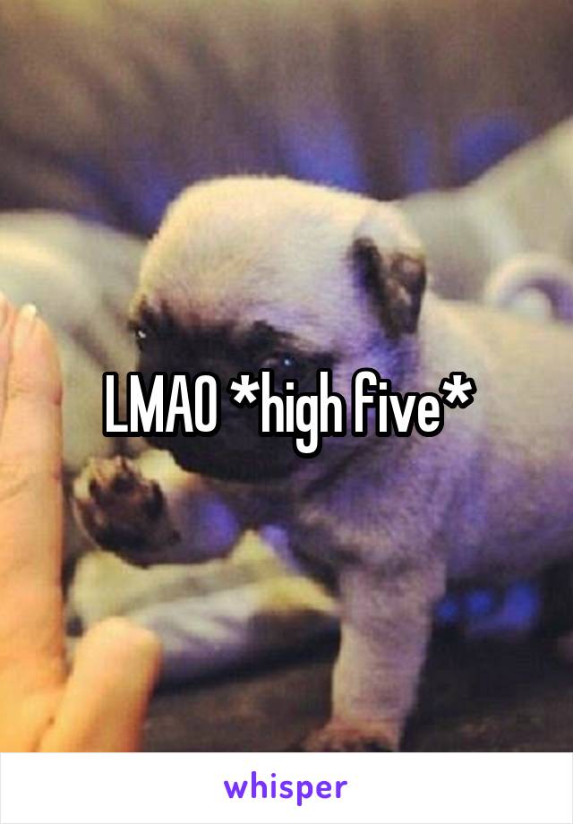 LMAO *high five*