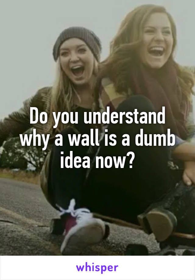 Do you understand why a wall is a dumb idea now?