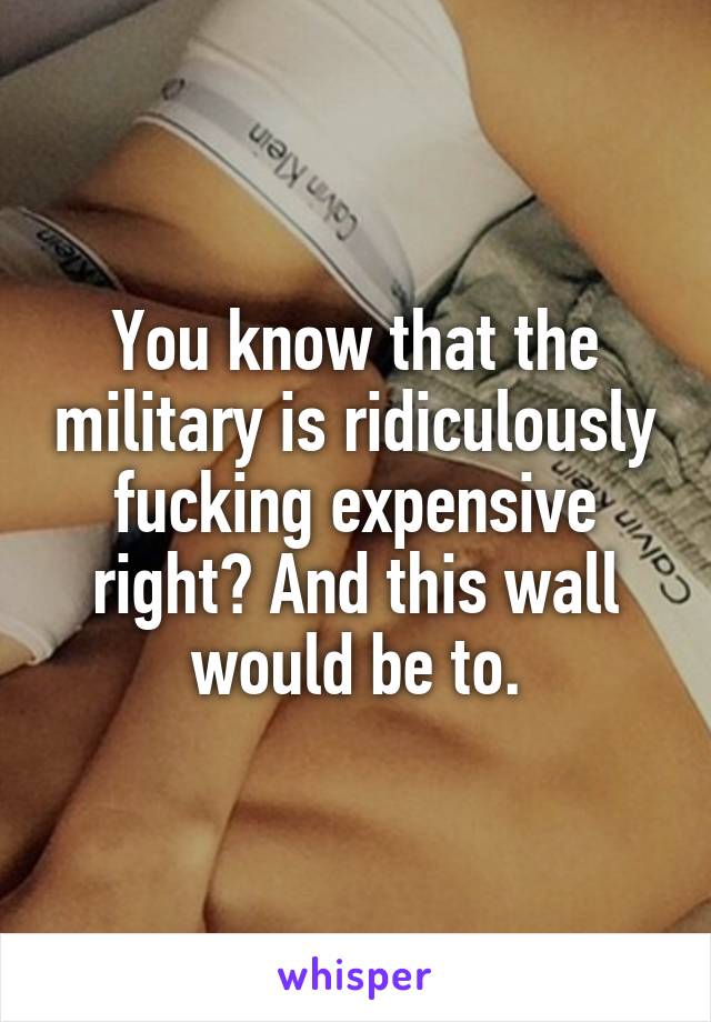 You know that the military is ridiculously fucking expensive right? And this wall would be to.