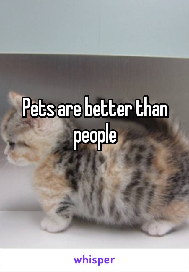 Pets are better than people
