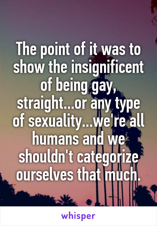 The point of it was to show the insignificent of being gay, straight...or any type of sexuality...we're all humans and we shouldn't categorize ourselves that much.