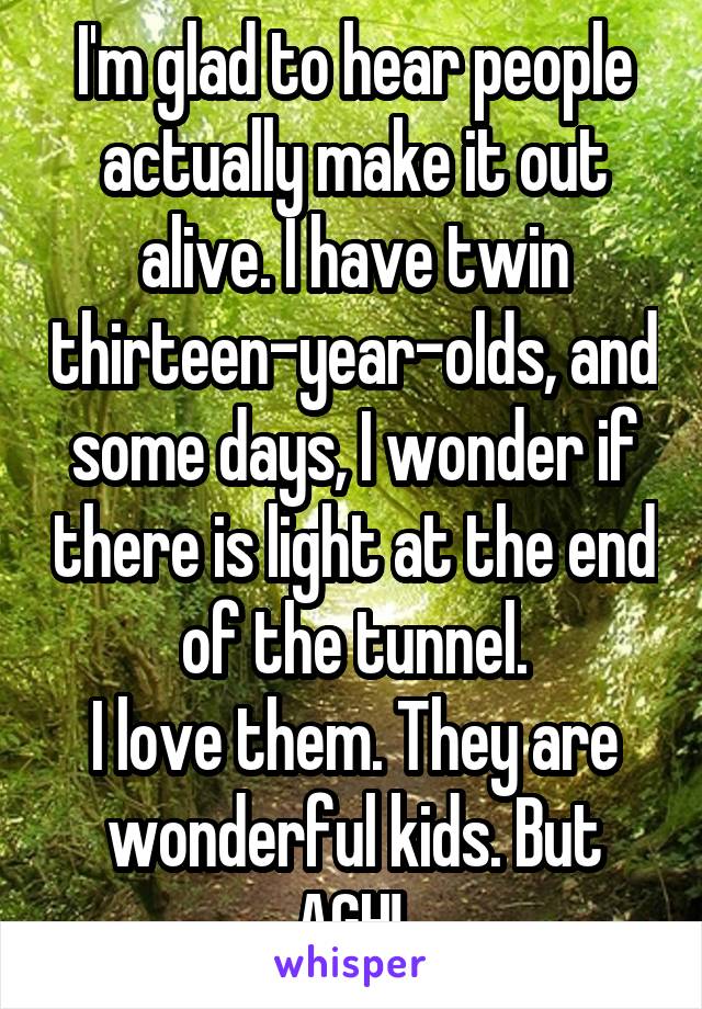 I'm glad to hear people actually make it out alive. I have twin thirteen-year-olds, and some days, I wonder if there is light at the end of the tunnel.
I love them. They are wonderful kids. But AGH! 