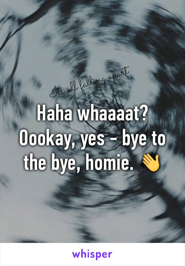 Haha whaaaat? 
Oookay, yes - bye to the bye, homie. 👋