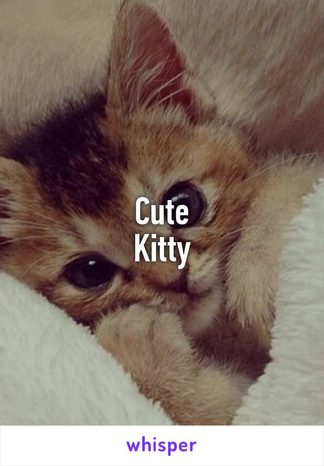 Cute
Kitty