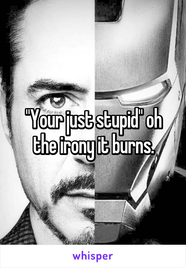 "Your just stupid" oh the irony it burns.