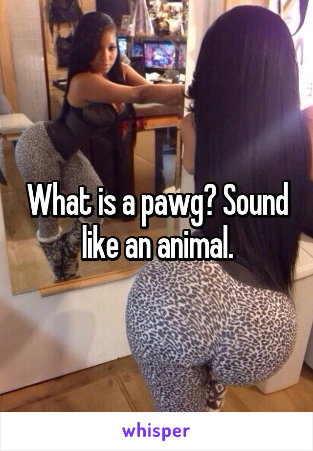 What is a pawg? Sound like an animal.