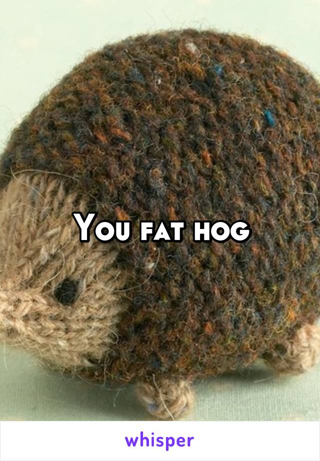 You fat hog