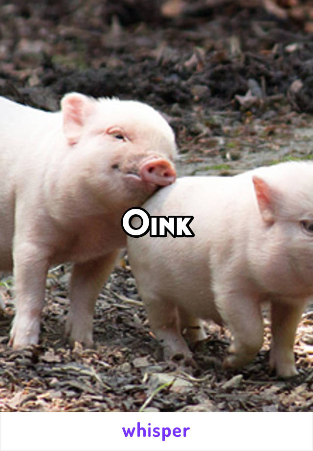 Oink