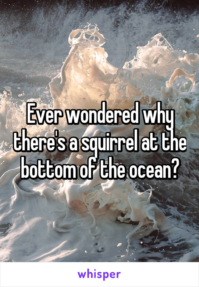 Ever wondered why there's a squirrel at the bottom of the ocean?