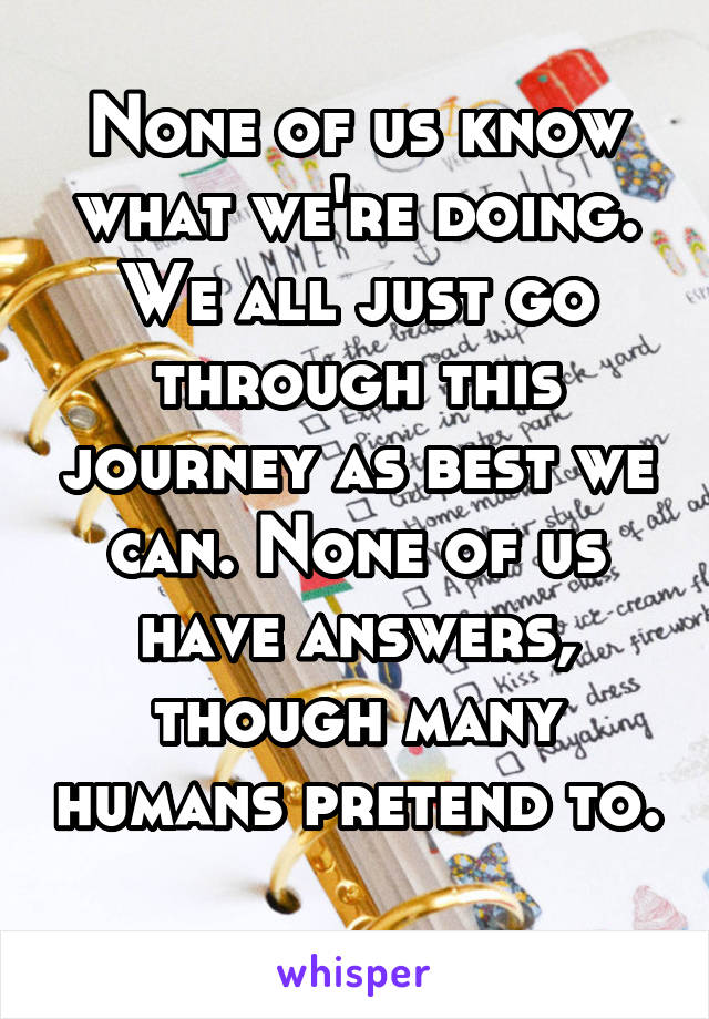 None of us know what we're doing. We all just go through this journey as best we can. None of us have answers, though many humans pretend to. 