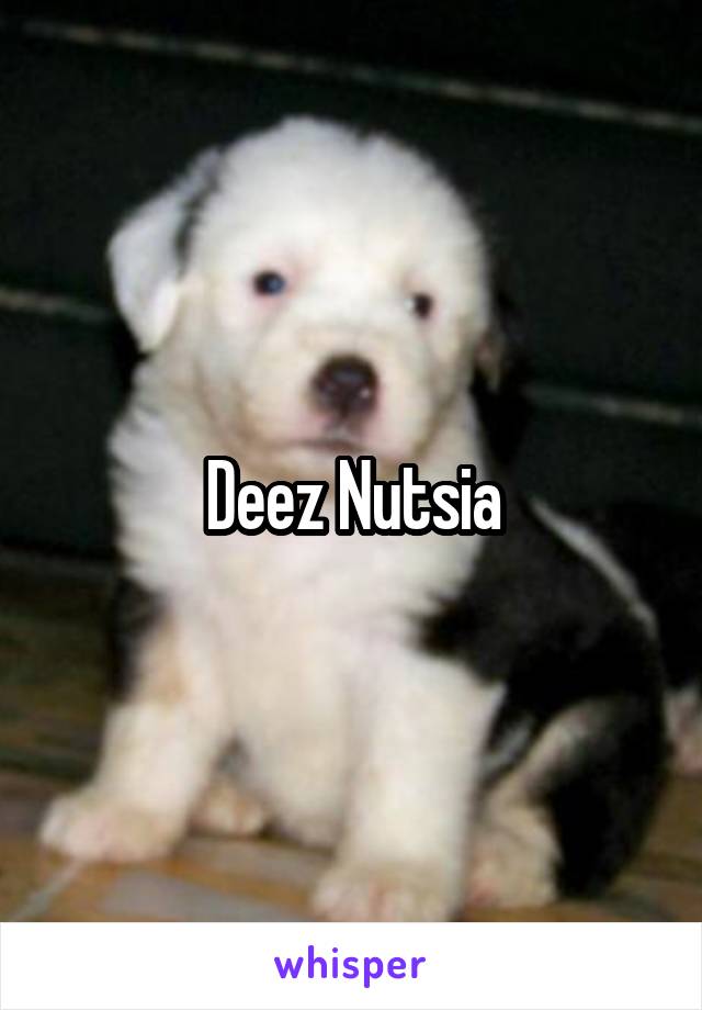 Deez Nutsia