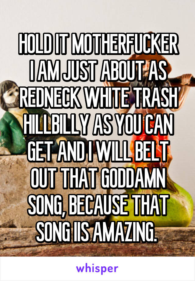 HOLD IT MOTHERFUCKER
I AM JUST ABOUT AS REDNECK WHITE TRASH HILLBILLY AS YOU CAN GET AND I WILL BELT OUT THAT GODDAMN SONG, BECAUSE THAT SONG IIS AMAZING. 