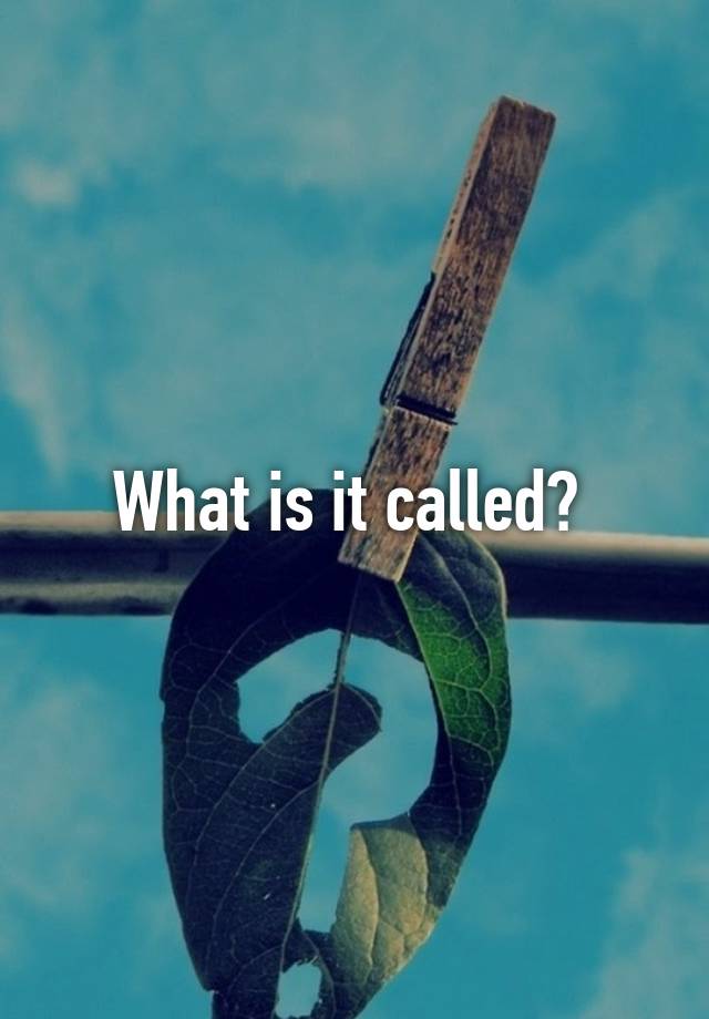 what-is-it-called