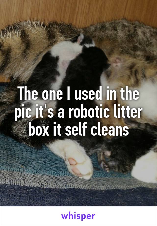 The one I used in the pic it's a robotic litter box it self cleans