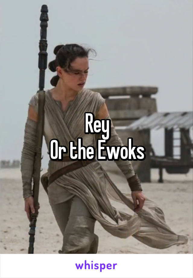 Rey
Or the Ewoks