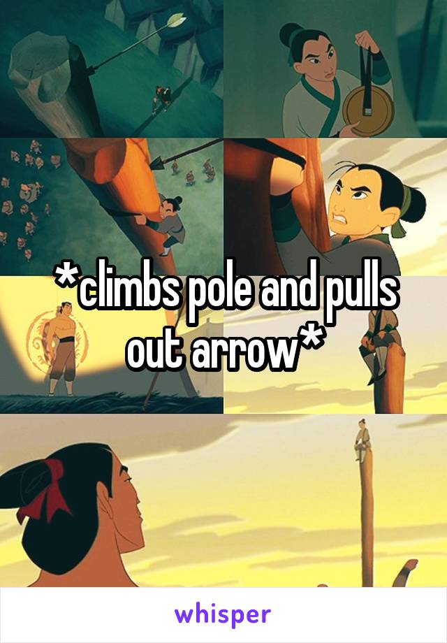 *climbs pole and pulls out arrow*