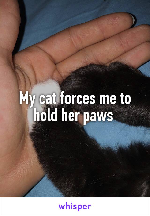 My cat forces me to hold her paws 