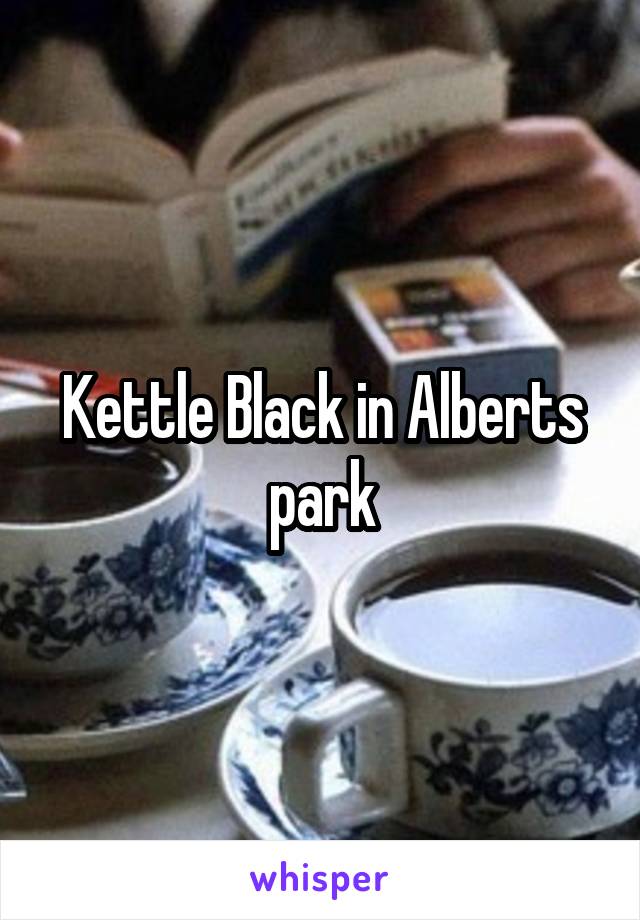 Kettle Black in Alberts park