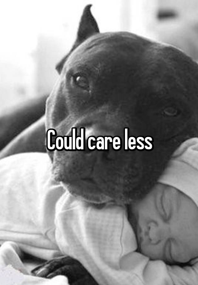 could-care-less