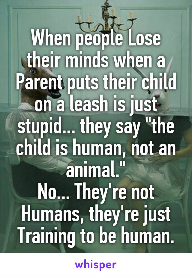 When people Lose their minds when a Parent puts their child on a leash is just stupid... they say "the child is human, not an animal."
No... They're not Humans, they're just Training to be human.