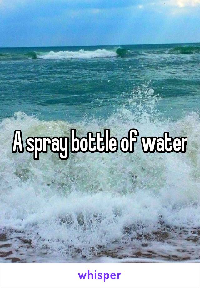 A spray bottle of water