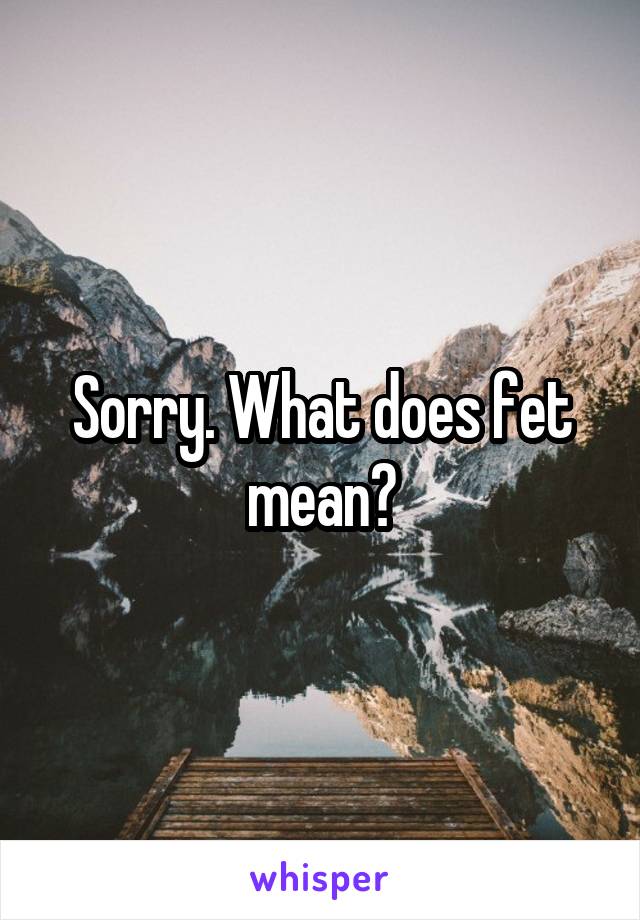 sorry-what-does-fet-mean