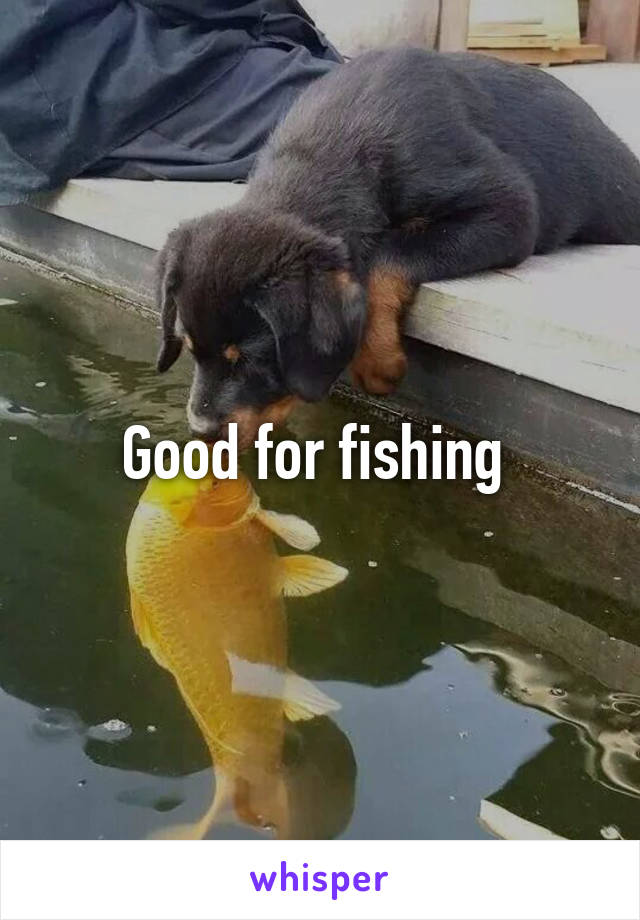 Good for fishing 