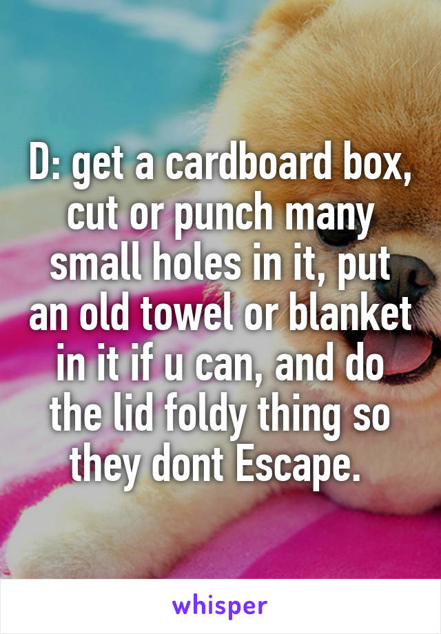 D: get a cardboard box, cut or punch many small holes in it, put an old towel or blanket in it if u can, and do the lid foldy thing so they dont Escape. 