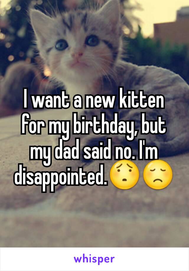 I want a new kitten for my birthday, but my dad said no. I'm disappointed.😯😞