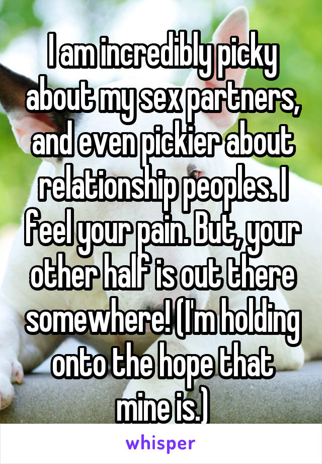 I am incredibly picky about my sex partners, and even pickier about relationship peoples. I feel your pain. But, your other half is out there somewhere! (I'm holding onto the hope that mine is.)