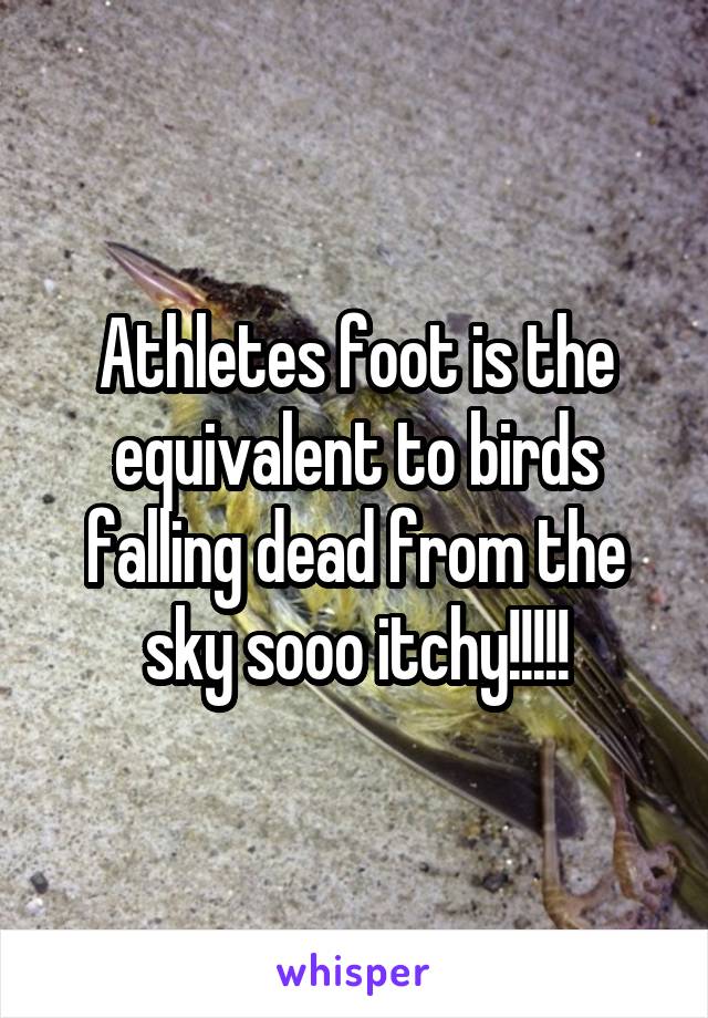 Athletes foot is the equivalent to birds falling dead from the sky sooo itchy!!!!!