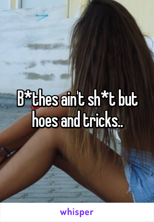 B*thes ain't sh*t but hoes and tricks..