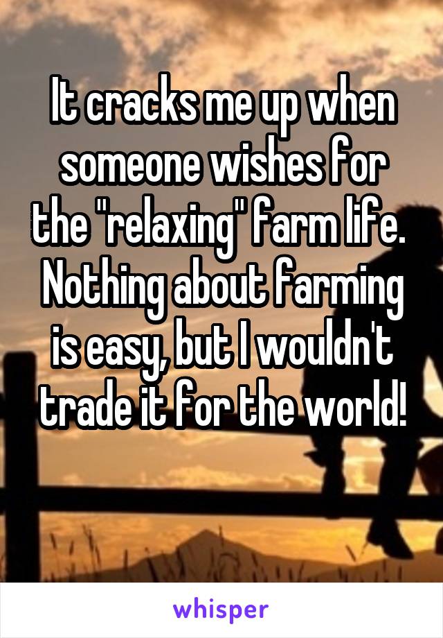 It cracks me up when someone wishes for the "relaxing" farm life. 
Nothing about farming is easy, but I wouldn't trade it for the world!

